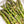 Load image into Gallery viewer, Asparagus
